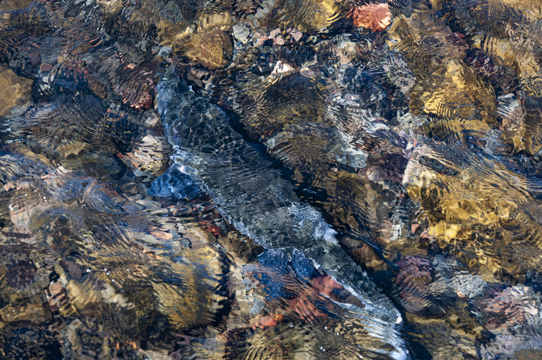 DSC_3758.jpg